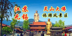 免费奸穴小视频江苏无锡灵山大佛旅游风景区